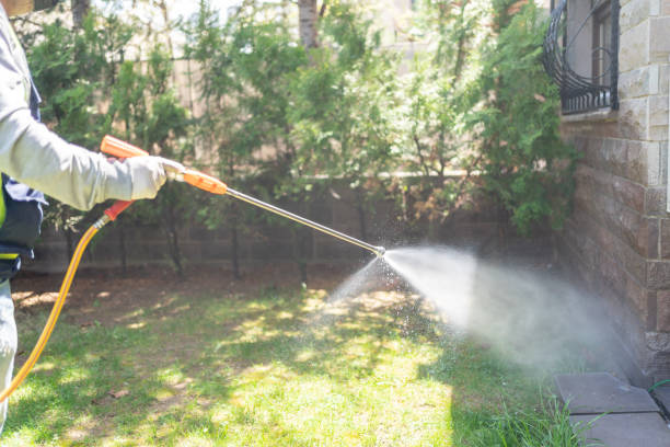 Best Mosquito Control  in Morton, TX